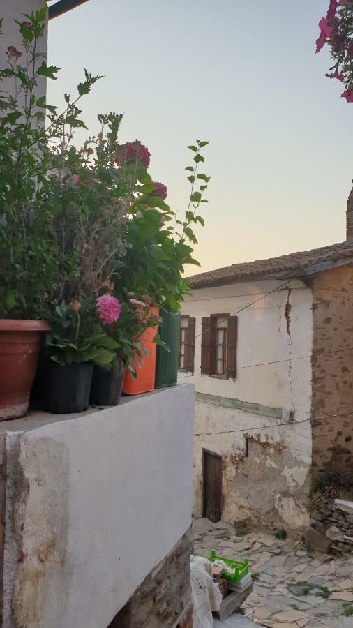 Sirin Ev Pansiyon Selcuk Exteriér fotografie